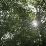 Grove-1200x675-min.jpg