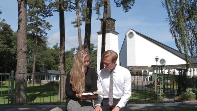 Festinord 6