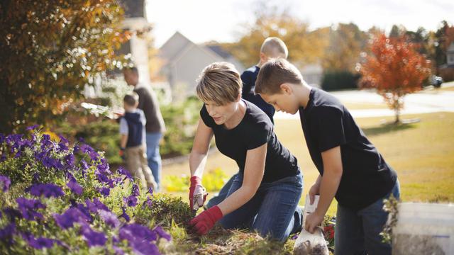 family-gardening-921248-wallpaper.jpg