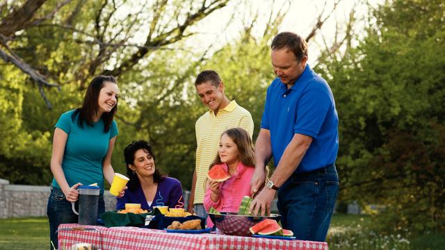 family-picnic-271796-wallpaper.jpg