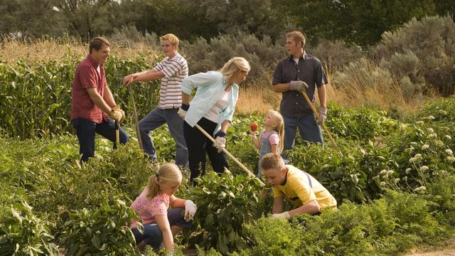 gardening-217882-wallpaper.jpg
